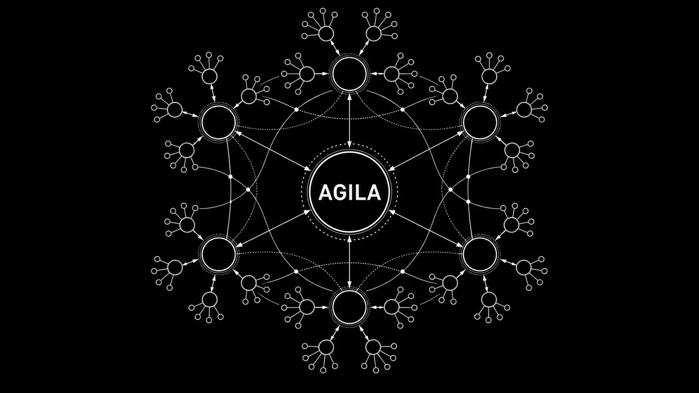 Agila at the centre of a connected system of six capability domains, capability areas and components